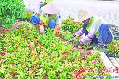 学中医的最后都干嘛了（学中医的每天都在干嘛）