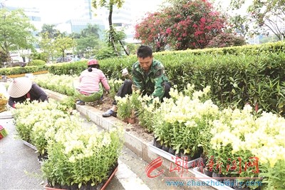 闵行区域图（上海闵行区域图片）