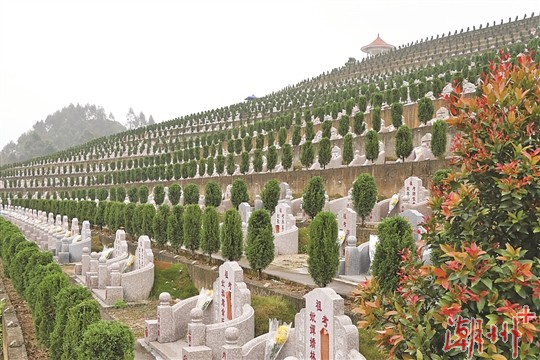 永安陵园统一为园内墓碑敬献鲜花,为逝者的家属完成祭扫心愿.