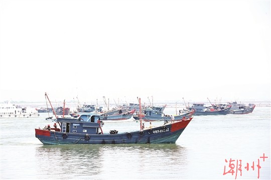 上海闵行区出国搬家（上海闵行区短途搬家）