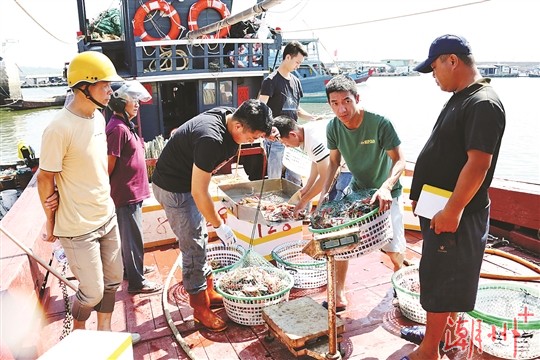 周岳林带队检查节日安保维稳工作并慰问一线执勤民警