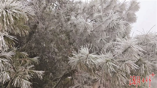 上海闵行区多工厂吗（闵行区工厂多吗）