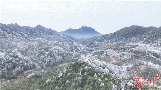 上海闵行区海鲜码头地址（闵行区宁波海鲜码头）