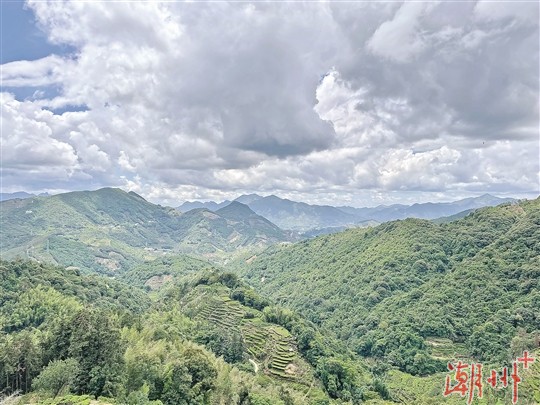 上海闵行区冷饮培训（冷饮培训上海）