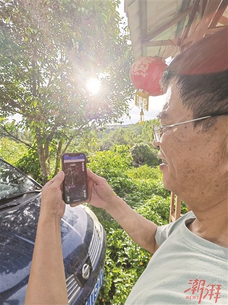 上海游玩必去景点推荐（上海游玩攻略必去景点推荐）