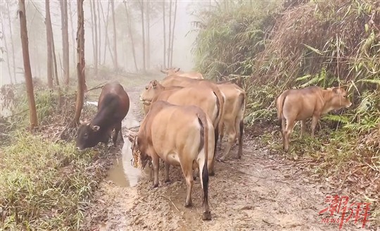 上海闵行区免费摆摊（上海闵行免费摆摊地点）