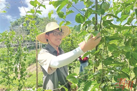 上海公司注销代办大概花多少钱（小规模公司注销代办大概花多少钱）