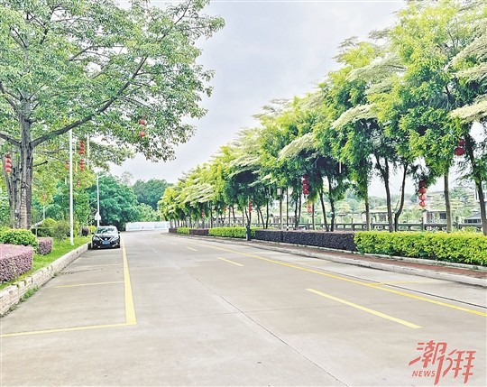 上海大学排名列表（上海大学排名顺序表）