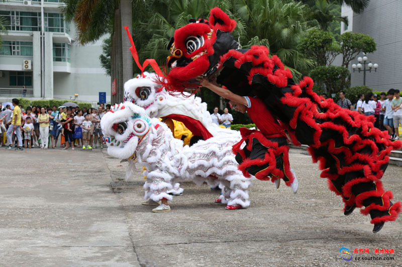 高子叶上海闵行区（上海市闵行区简介）